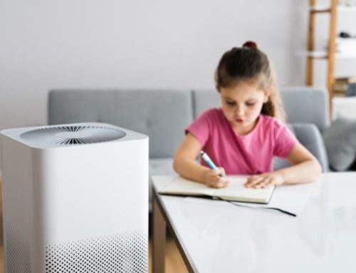 Indoor Air Quality Myths Every Homeowner Should Know