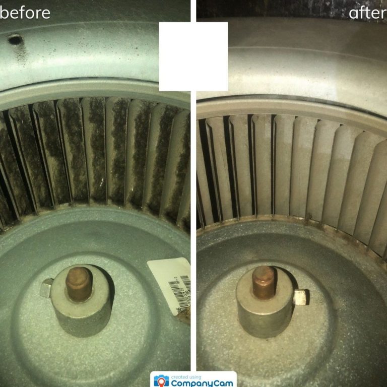 dirty before and clean after HVAC blower wheel
